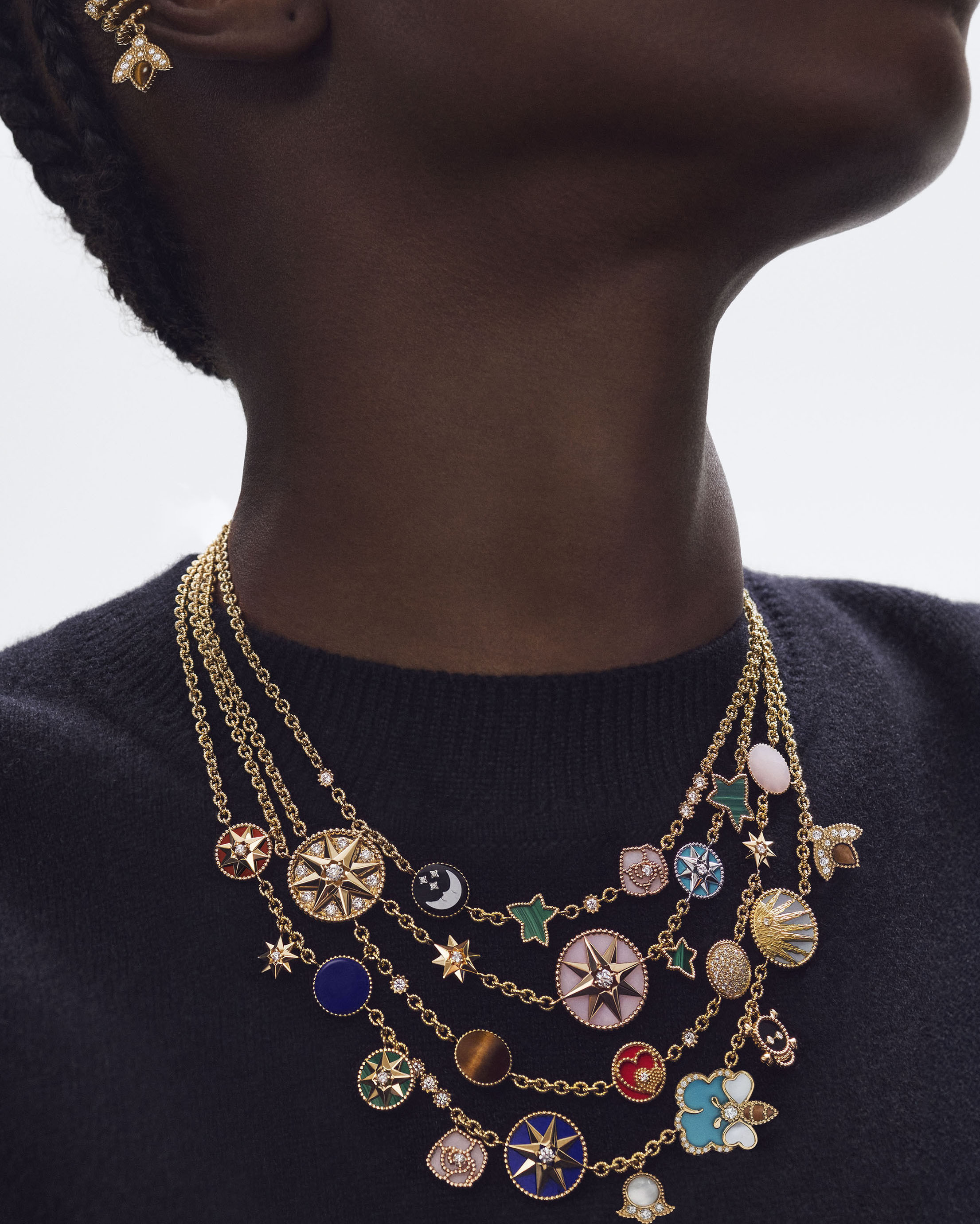 DIOR_PRINT_ROSEDESVENTS_1