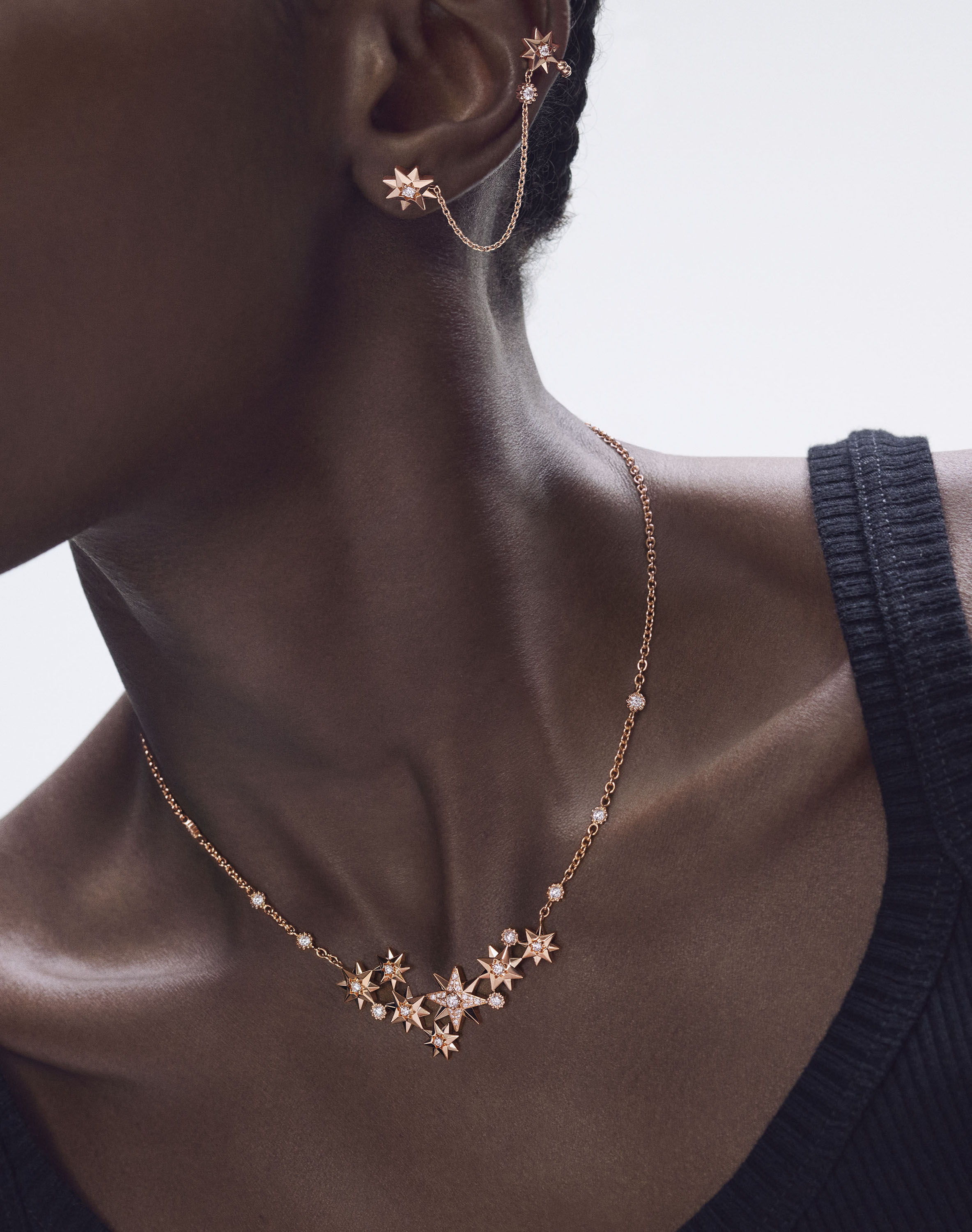 DIOR_PRINT_ROSEDESVENTS_2